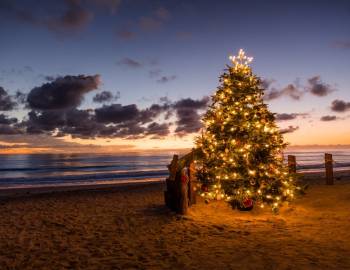 A Christmas tree decorated with lights on a beach on Hilton Head Island